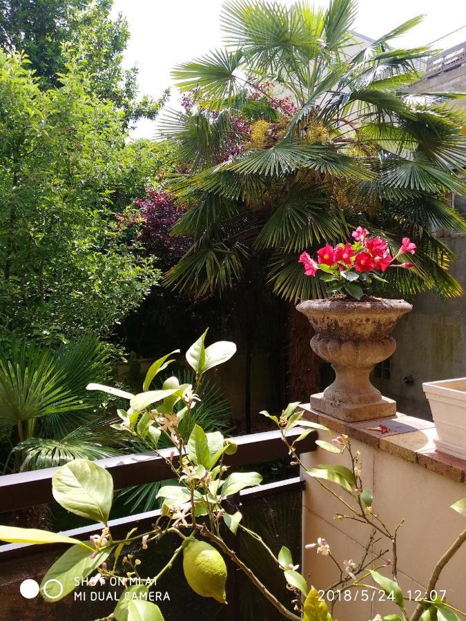 Appartement Charmant A Alfortville 30M² Terrasse Et Jardin ภายนอก รูปภาพ